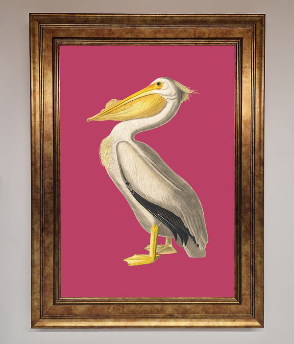 Pelican On Pink Framed Poster - Hi Society
