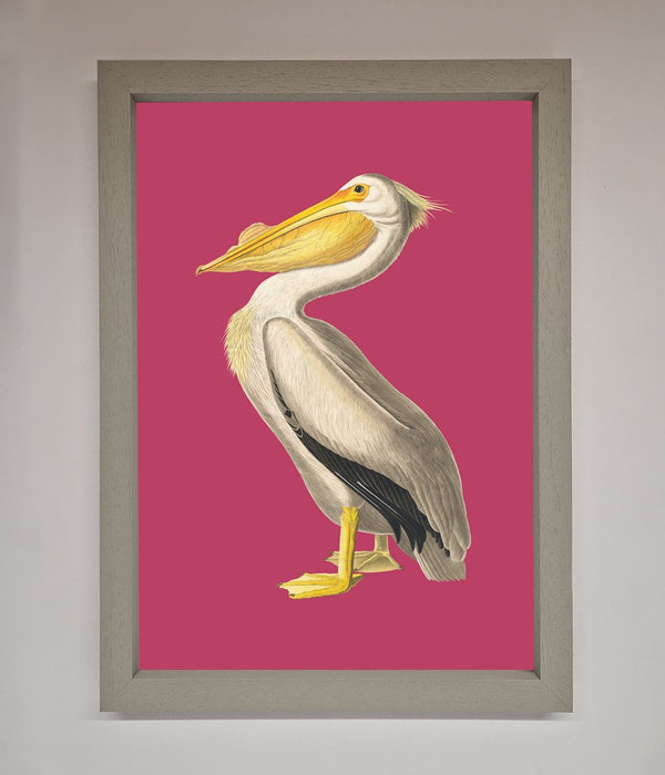 Pelican On Pink Framed Poster - Hi Society