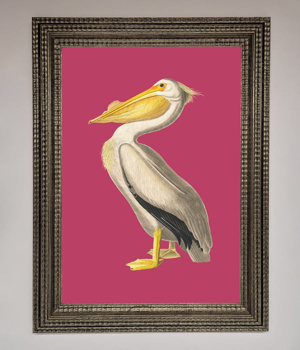Pelican On Pink Framed Poster - Hi Society