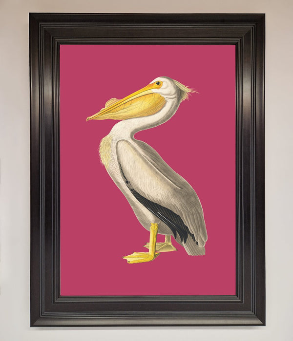 Pelican On Pink Framed Poster - Hi Society