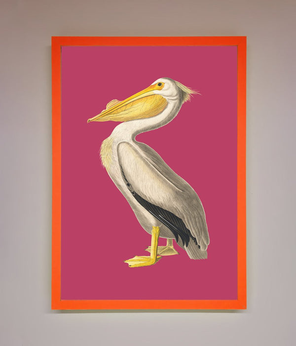 Pelican On Pink Framed Poster - Hi Society
