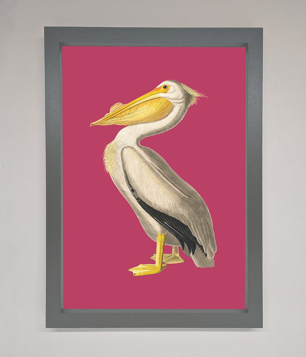 Pelican On Pink Framed Poster - Hi Society