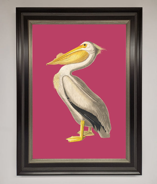 Pelican On Pink Framed Poster - Hi Society