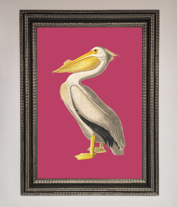 Pelican On Pink Framed Poster - Hi Society