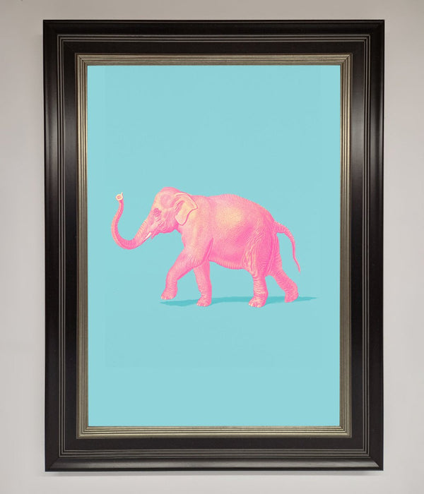 Pink Elephant On Blue Framed Print - Hi Society