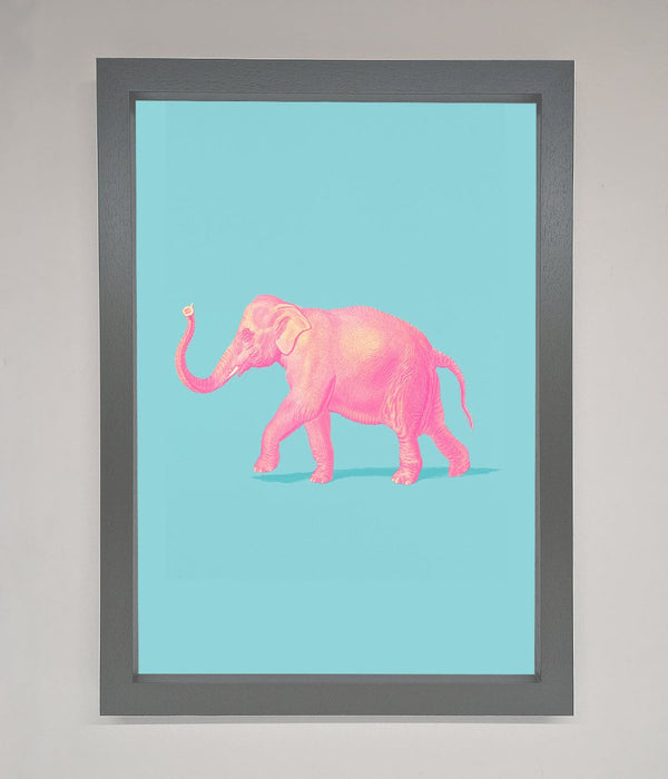 Pink Elephant On Blue Framed Print - Hi Society