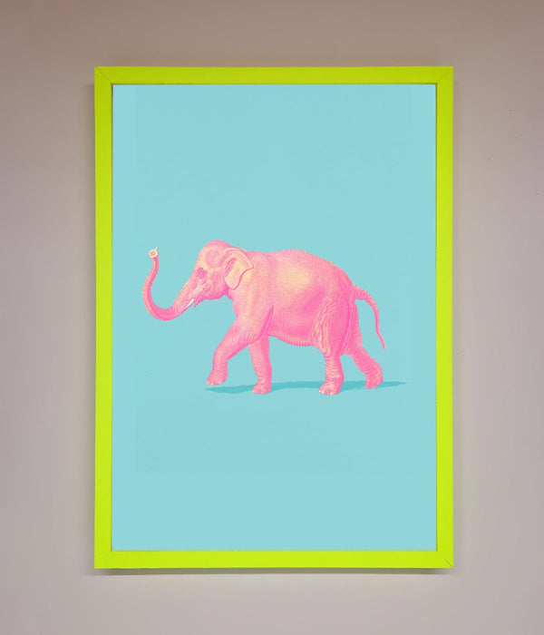 Pink Elephant On Blue Framed Print - Hi Society