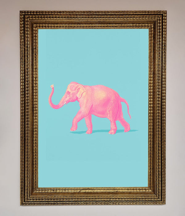 Pink Elephant On Blue Framed Print - Hi Society