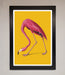 Pink Flamingo On Yellow Framed Print - Hi Society