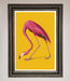 Pink Flamingo On Yellow Framed Print - Hi Society