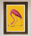 Pink Flamingo On Yellow Framed Print - Hi Society
