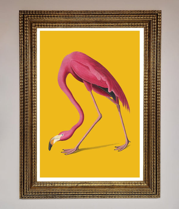 Pink Flamingo On Yellow Framed Print - Hi Society