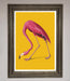 Pink Flamingo On Yellow Framed Print - Hi Society