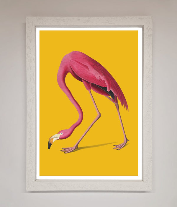 Pink Flamingo On Yellow Framed Print - Hi Society
