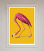Pink Flamingo On Yellow Framed Print - Hi Society