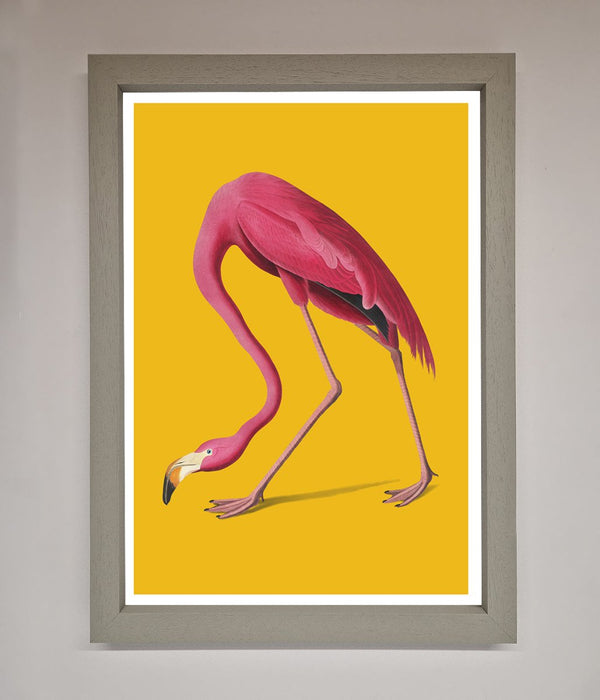 Pink Flamingo On Yellow Framed Print - Hi Society