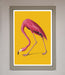 Pink Flamingo On Yellow Framed Print - Hi Society
