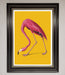 Pink Flamingo On Yellow Framed Print - Hi Society