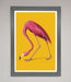 Pink Flamingo On Yellow Framed Print - Hi Society
