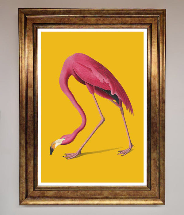 Pink Flamingo On Yellow Framed Print - Hi Society