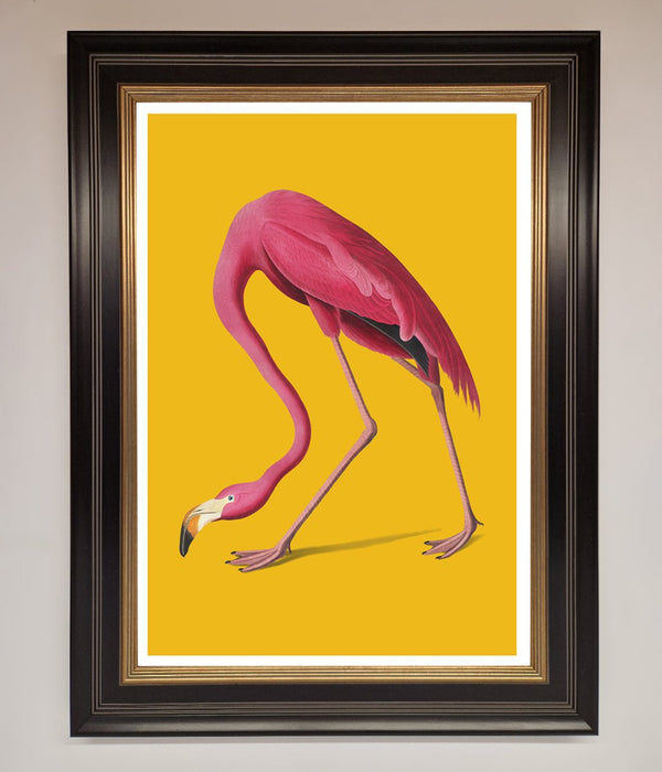 Pink Flamingo On Yellow Framed Print - Hi Society