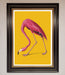 Pink Flamingo On Yellow Framed Print - Hi Society