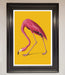 Pink Flamingo On Yellow Framed Print - Hi Society