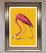 Pink Flamingo On Yellow Framed Print - Hi Society