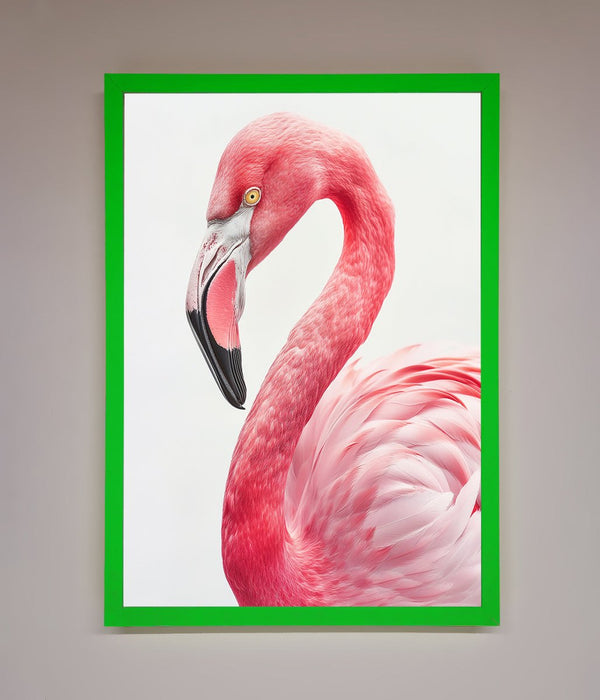 Pink Flamingo Stare Framed Print - Hi Society