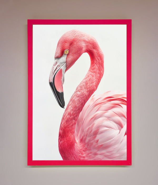 Pink Flamingo Stare Framed Print - Hi Society
