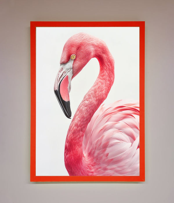 Pink Flamingo Stare Framed Print - Hi Society