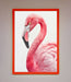 Pink Flamingo Stare Framed Print - Hi Society