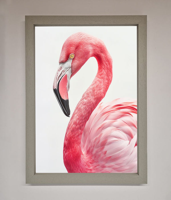 Pink Flamingo Stare Framed Print - Hi Society