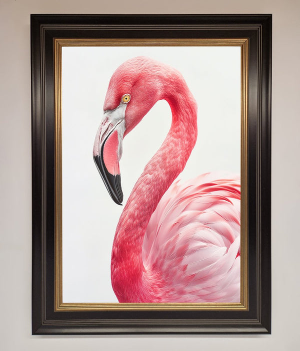Pink Flamingo Stare Framed Print - Hi Society