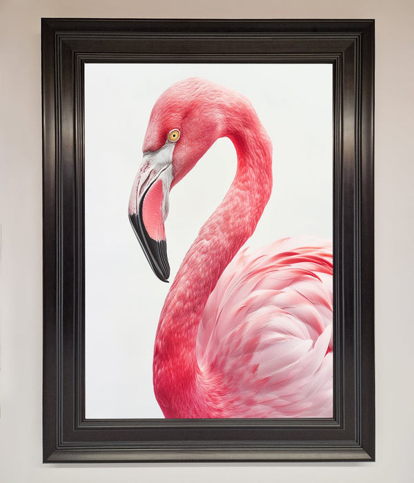 Pink Flamingo Stare Framed Print - Hi Society
