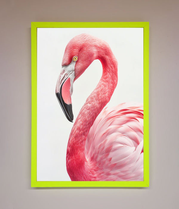Pink Flamingo Stare Framed Print - Hi Society