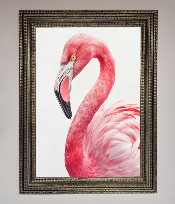 Pink Flamingo Stare Framed Print - Hi Society
