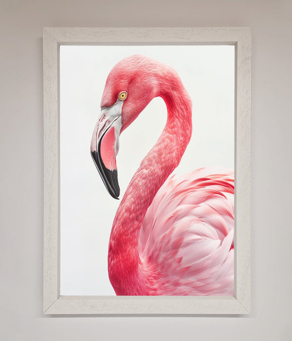 Pink Flamingo Stare Framed Print - Hi Society