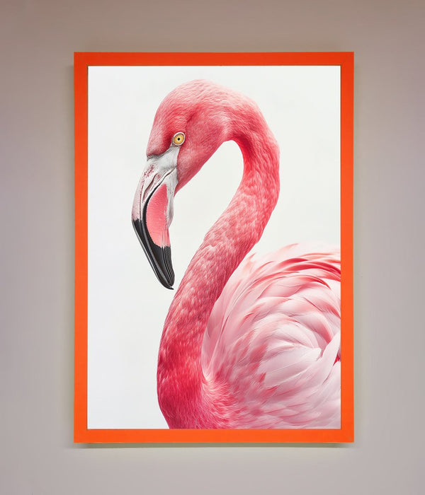 Pink Flamingo Stare Framed Print - Hi Society