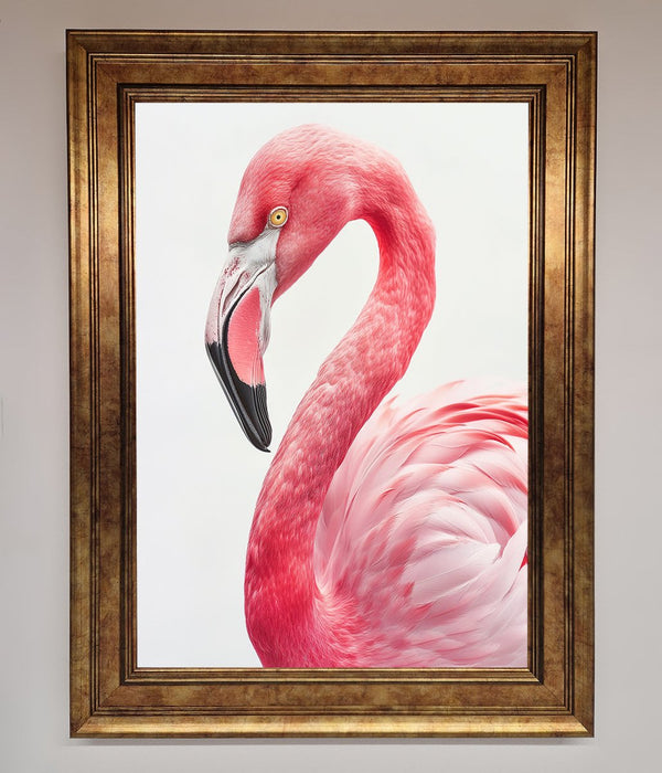 Pink Flamingo Stare Framed Print - Hi Society