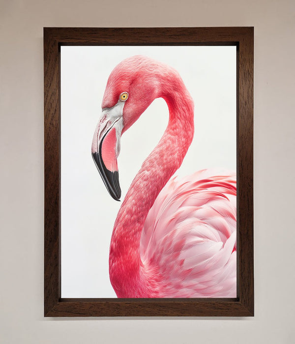 Pink Flamingo Stare Framed Print - Hi Society