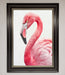 Pink Flamingo Stare Framed Print - Hi Society