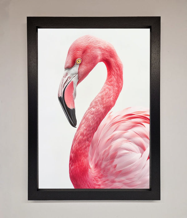 Pink Flamingo Stare Framed Print - Hi Society