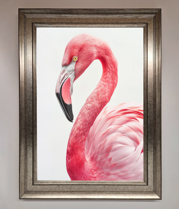 Pink Flamingo Stare Framed Print - Hi Society