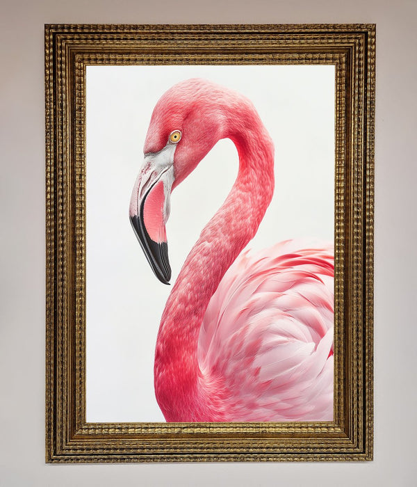 Pink Flamingo Stare Framed Print - Hi Society