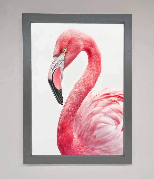 Pink Flamingo Stare Framed Print - Hi Society