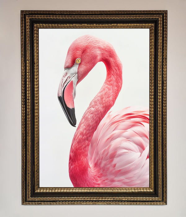 Pink Flamingo Stare Framed Print - Hi Society