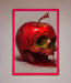 Poison Apple Framed Poster - Hi Society