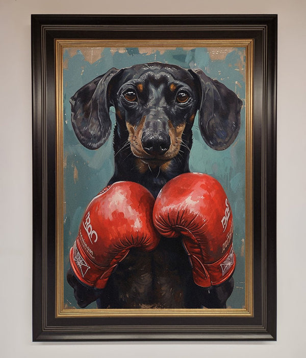 Sausage Dog Boxing Framed Print - Hi Society