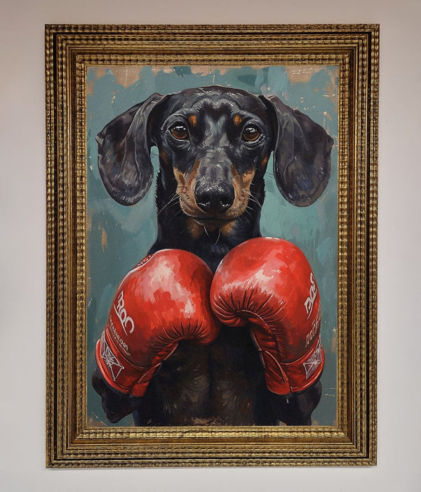 Sausage Dog Boxing Framed Print - Hi Society